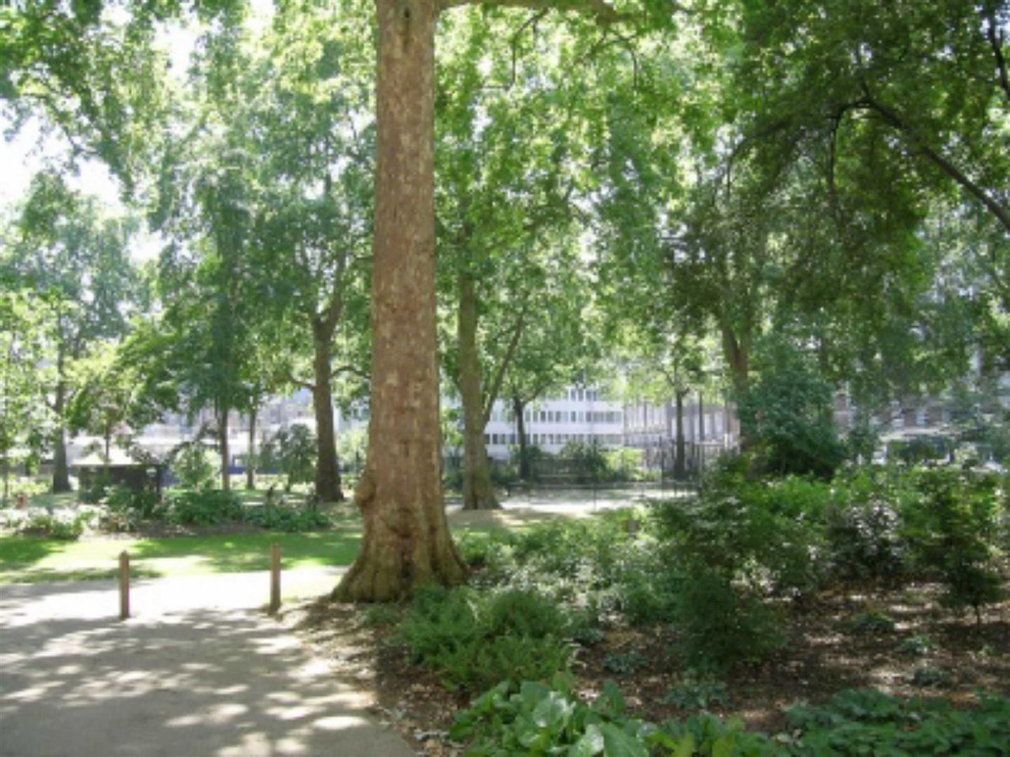 Portman Square, Marylebone